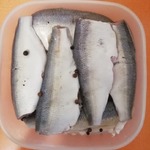 ������ ������������