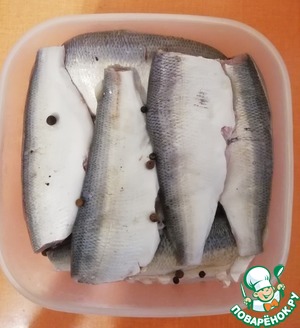 ������: ������ ������������