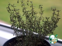 ������� � ������ � ��������� �����������