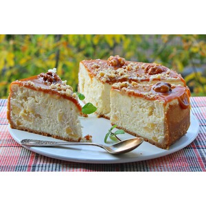 ������-������� ������� "�������"