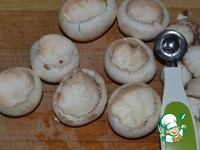 ���������� � ������� � ��������� �����������