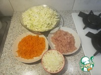 �������� � �������� � �������� �����������