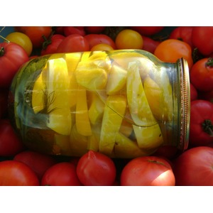 ������������ ��������� "�������� �����"