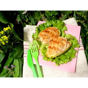 �����, ������������� �������� "�����������"