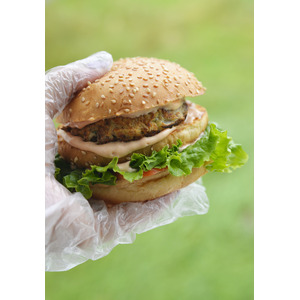 ��������� � �������� �� �������� �������