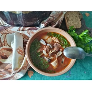 �������� ���������������