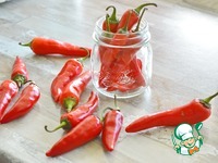 ������������ ������ ����� � ����� �����������