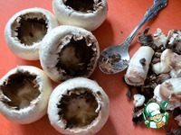 ���������� � ������ �� ����� �����������