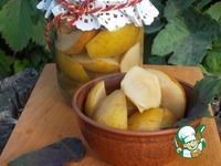 ����� ������������ �����������