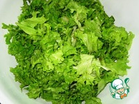 ������� ����� � ������� � �������� �����������