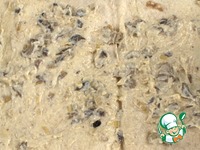 �������� � ������ �����������