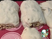 �������-������ ��� ������� �����������