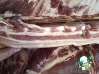 ���� �������� �������� �����������