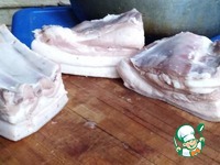 ���� �������� �������� �����������