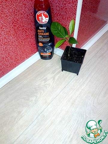 ����� Satina: ������� c Sanita ����� ��������� "������������"!