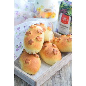 ������� ������������ � ��������� � �������