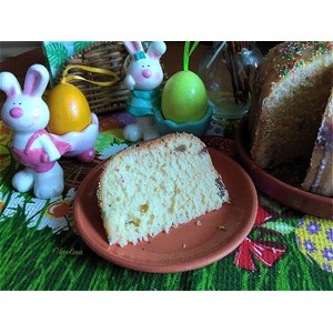 ����� �� ����������