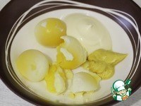 ������ �����-������ �����������