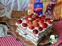 ��������-���������� ���� �� ������� �����������