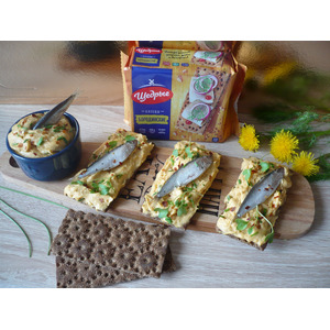 �����������-������ ����� �� �������