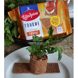 ������ � ������� "������ ���� � �������� ����"