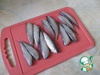 ������ � ������� � �������� �����������