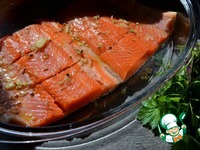 ������ ��-���������� �����������