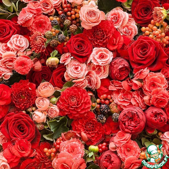 ����������� ��������� (������ ������������) � ���� ��������!