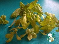 ������� ��-���������� �����������