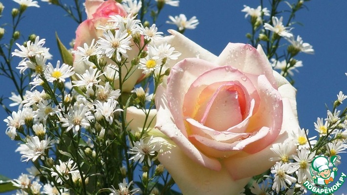 ����������� ������� (felix032) � ���� ��������!