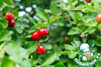 ������������ ����� (�������, ��������� �����, ������� �������)