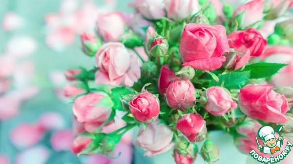 ����������� ������ (krolya13) � ���� ��������!