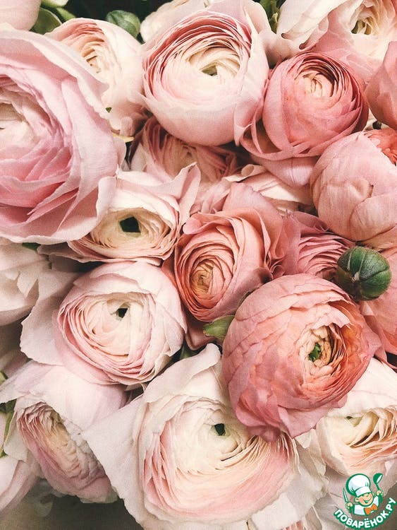 ����������� �������� (ma-ma sveta) � ���� ��������!