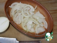 ������ ��� ������ �����-��������� ������ �����������