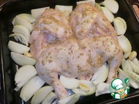 ������, ���������� � ����� � �������� �����������