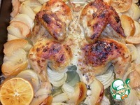 ������, ���������� � ����� � �������� �����������