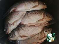 ���� �������� �����������