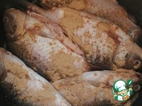 ���� �������� �����������