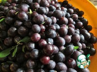 ���� �� �����-���������� �����������