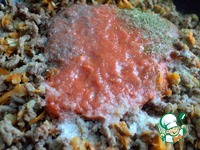 ������� � ��������� �����������