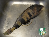 �����, ������������� ����� � ������� �����������