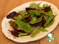 ����� � ������ �����������