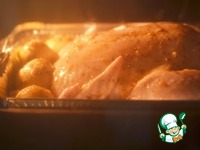 ���������� ������ ����� �� ���������� �����������