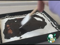 ���������-�������� ����� �����������