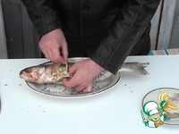 ������ �� ����� ��-���������� �����������