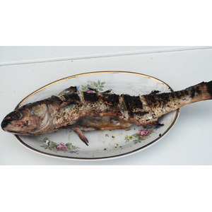 ������ �� ����� ��-����������