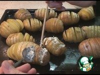 ���������, ���������� � ����� �����������