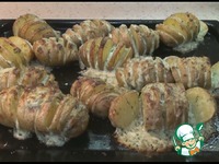 ���������, ���������� � ����� �����������