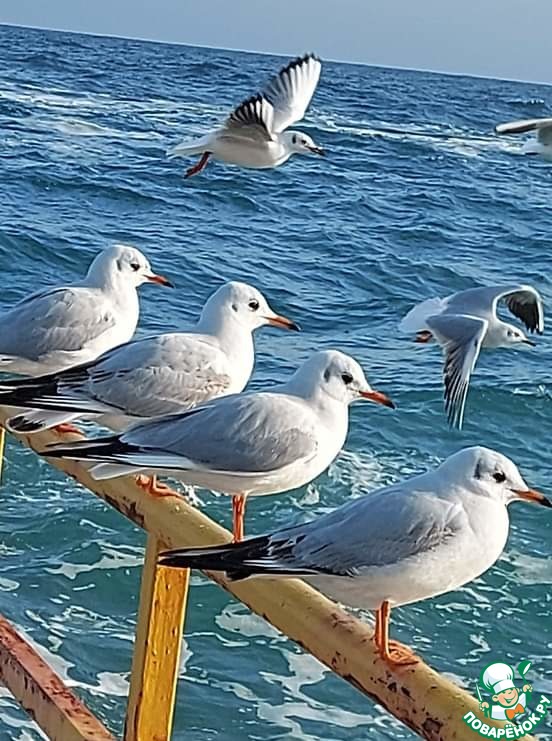 ����� ����� � ���� ׸���� ���� ��.