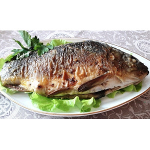 ���������� ���������� ����